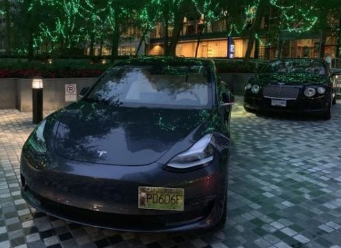 特斯拉汽车用多少电池(特斯拉汽车电池使用量与技术研究)