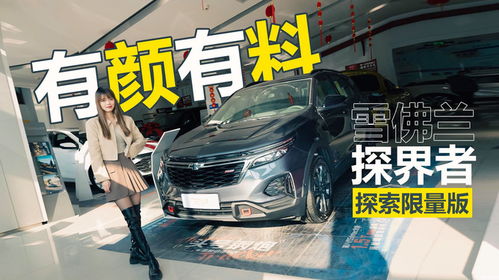 美国白人汽车多少辆(美国白人汽车拥有量探究)