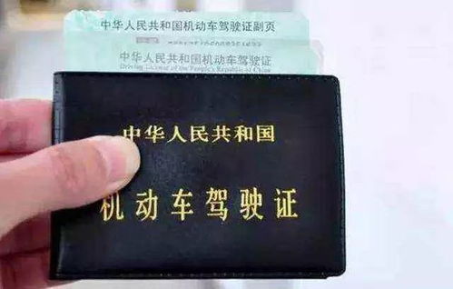 汽车b证能开多少(汽车B证能开多少，驾驶资格与车辆类型的探讨)