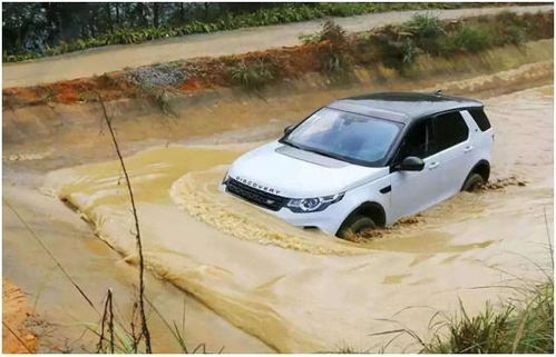 夏天汽车涉水多少合适(夏天汽车涉水深度多少合适—安全驾驶指南)