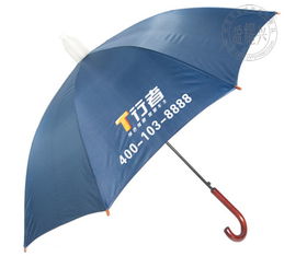 汽车雨伞多少钱(汽车雨伞价格解析，多少钱才是合理的？