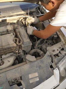 王牌汽车电瓶价格多少(王牌汽车电瓶价格解析，市场走势、品牌特点与购买建议)