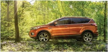 牡丹汽车suv价格多少(牡丹汽车SUV价格解析)