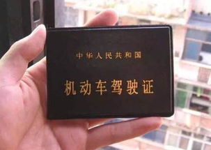 安平汽车考证收费多少(安平汽车考证收费详解)