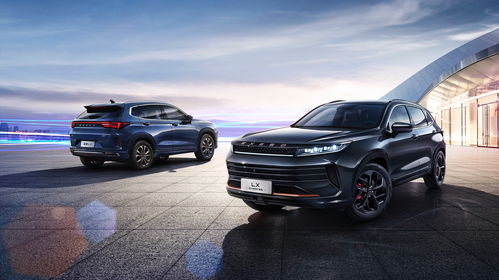 星途汽车多少价位(星途汽车价位解析，不同车型与配置的价格区间深度探讨)