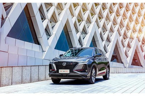 宁波汽车坡道价格多少(宁波汽车坡道价格解析)