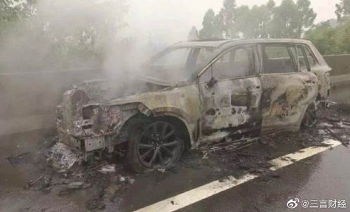 理想汽车自燃赔偿多少(理想汽车自燃赔偿深度解析)