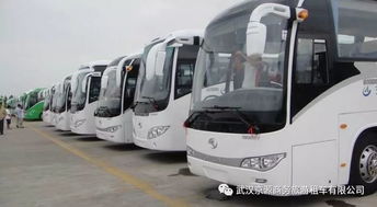 成都汽车租赁月租多少(成都汽车租赁月租费用详解)