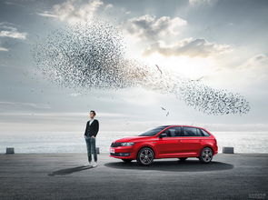 汽车美食行驶多少米(汽车美食，行驶在味觉与速度之间的旅程)