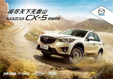 汽车购买排量多少合适(汽车购买排量多少合适，理性分析与建议)