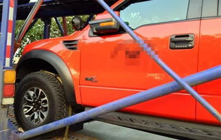 小型犬汽车托运多少(小型犬汽车托运多少,深度解析托运成本与注意事项) 小型犬汽车托运多少(小型犬汽车托运多少,深度解析托运成本与注意事项)