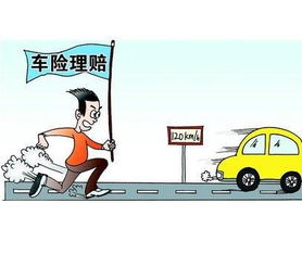 汽车丢失多少天理赔(汽车丢失多少天理赔，解析与应对)