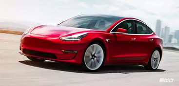 特斯拉汽车彩绘价格多少(特斯拉汽车彩绘价格解析)