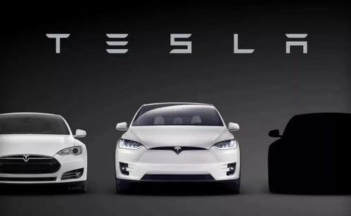 特斯拉汽车彩绘价格多少(特斯拉汽车彩绘价格解析)