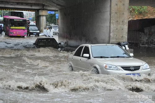 台风目前泡了多少汽车(台风肆虐下的汽车困境，究竟有多少车辆被淹？