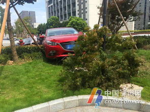 汽车冲入花坛赔偿多少 汽车冲入花坛赔偿多少