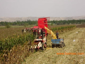 苞米汽车多少钱