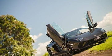 新西兰有多少品牌汽车 新西兰有多少品牌汽车