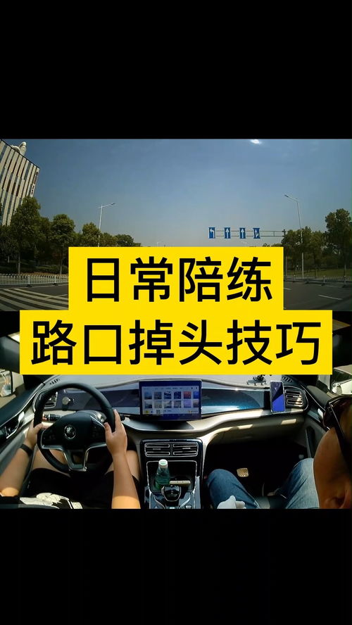 汽车陪练收费多少合适