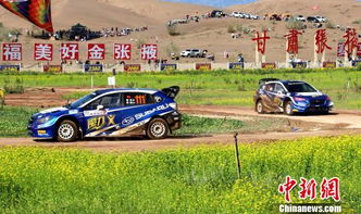 甘肃汽车赛道价格多少