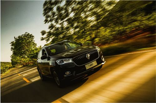 杨叔有多少汽车