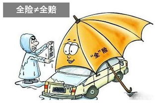 汽车全保多少费用