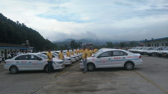 西昌汽车有多少台