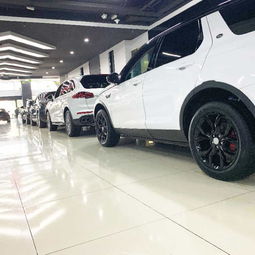 东莞汽车招商多少家