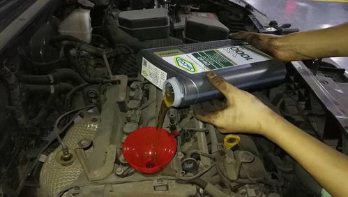 汽车机油多少要加