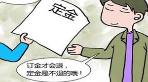 汽车定金与订金多少
