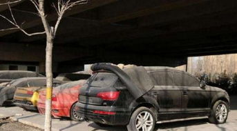 汽车可以放多少天