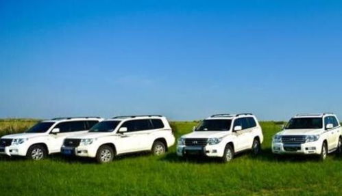 平坝汽车租赁价格多少 平坝汽车租赁价格多少