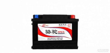 白塔汽车电瓶多少伏
