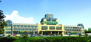 安溪汽车总站面积多少 安溪汽车总站面积多少