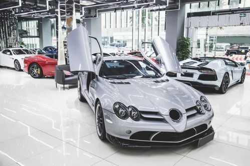 杜拉斯汽车多少钱