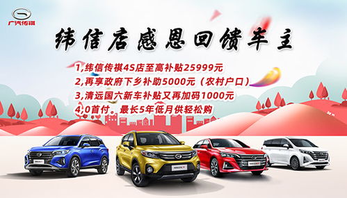 纬信汽车首付多少