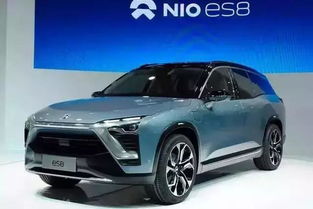 有汽车的人有多少