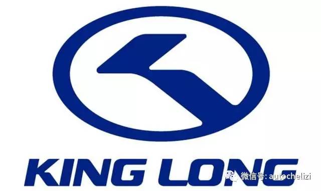 金龙汽车亏损了多少