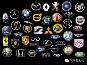 汽车车标多少尺寸