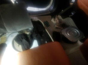 汽车汽油滤芯直径多少