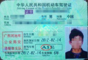 汽车证多少件号