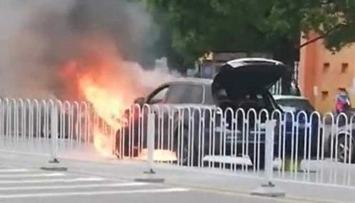 理想汽车自燃有多少