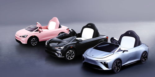 致赢哪吒汽车多少