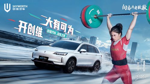 创维汽车总共卖出多少