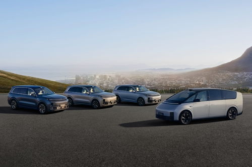 理想汽车新西兰售价多少