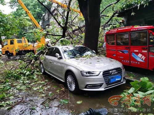 汽车折损费多少合适