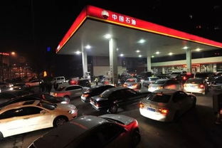 今日大连汽车油价多少