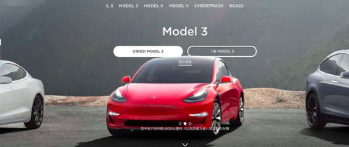特斯拉汽车降价补偿多少