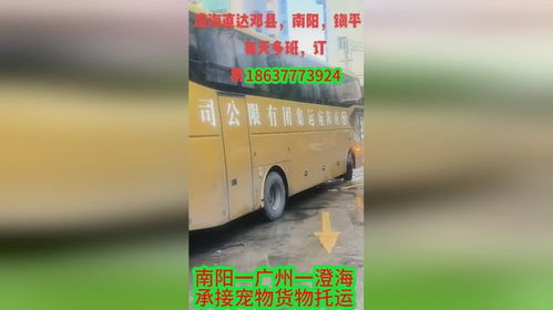 澄海汽车多少钱