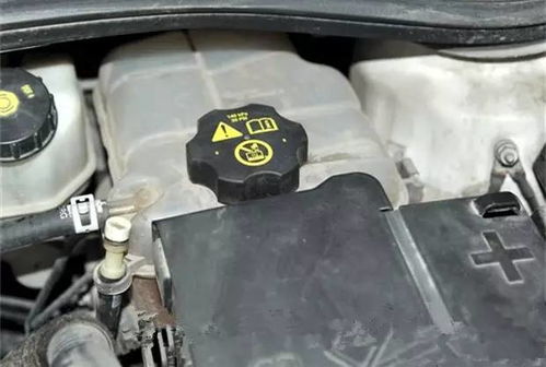 东营汽车油液价格多少